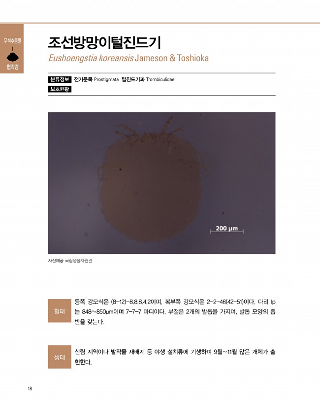16페이지