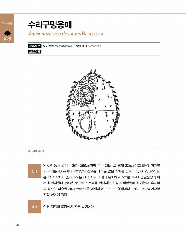 18페이지