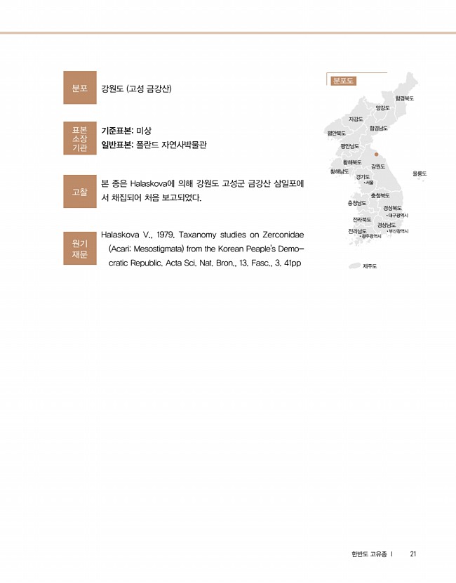 19페이지