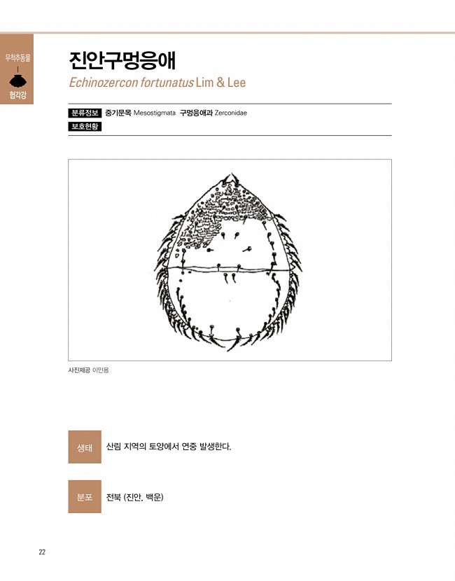 20페이지