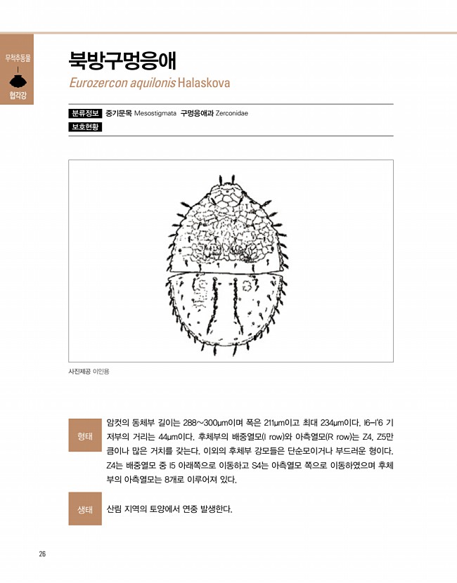 24페이지