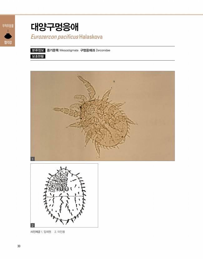 28페이지