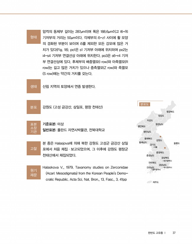 29페이지