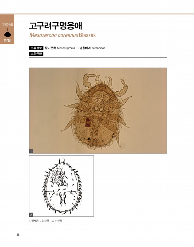 30페이지