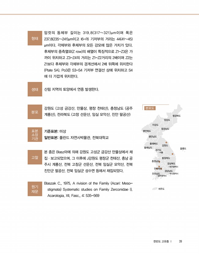 31페이지