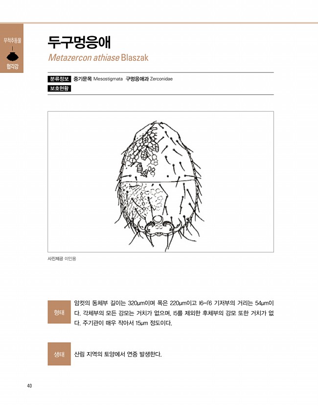 32페이지