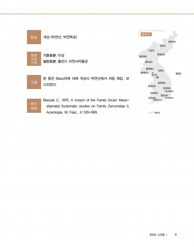 33페이지