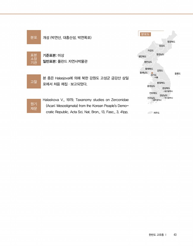 35페이지