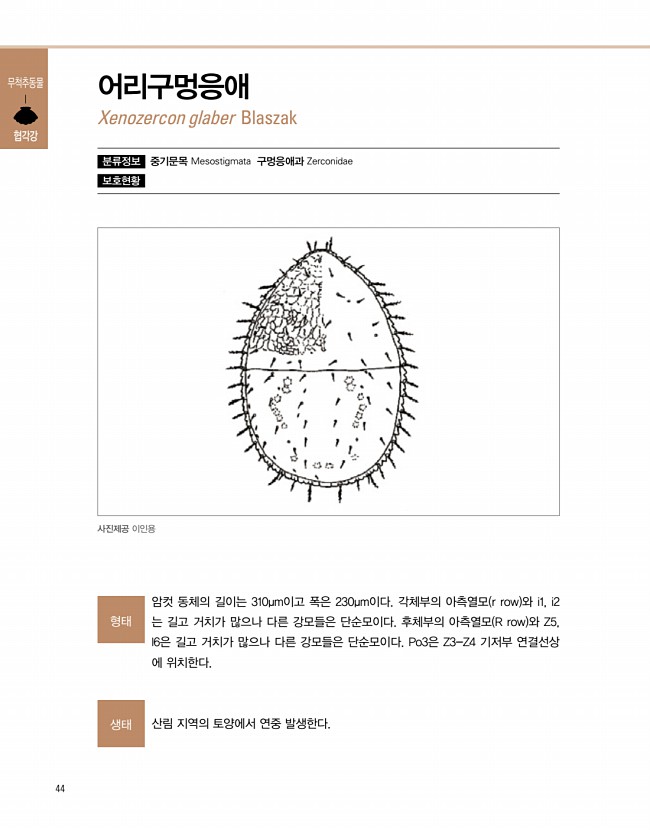 36페이지