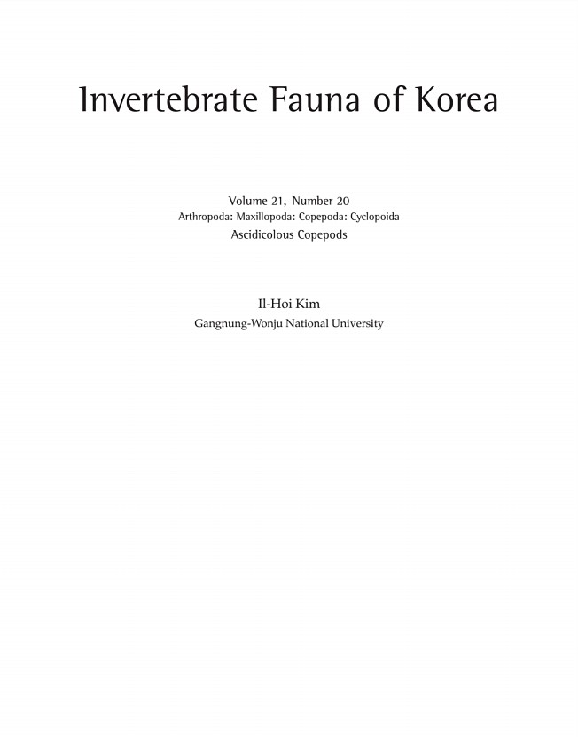 페이지
