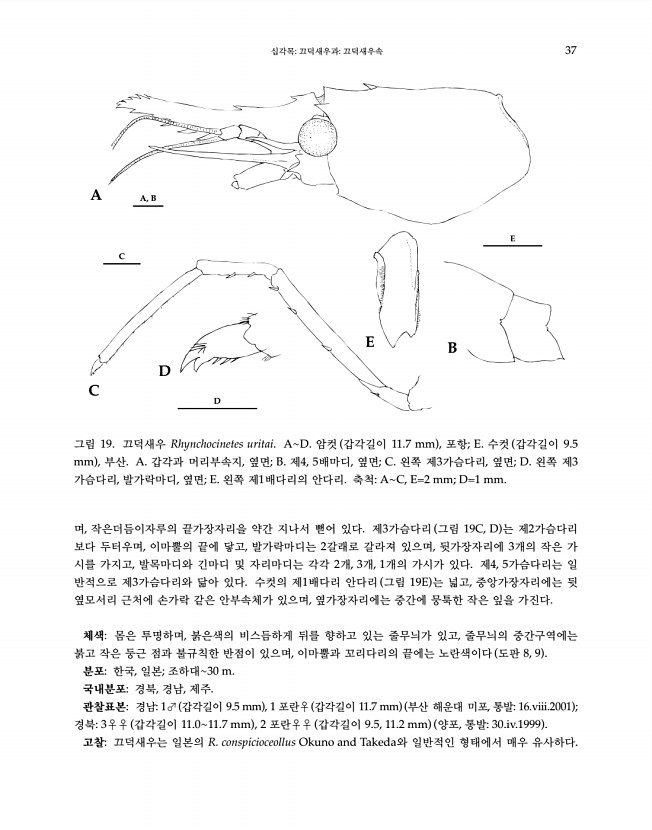 39페이지