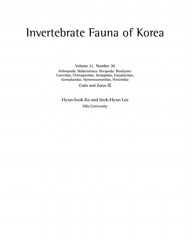페이지