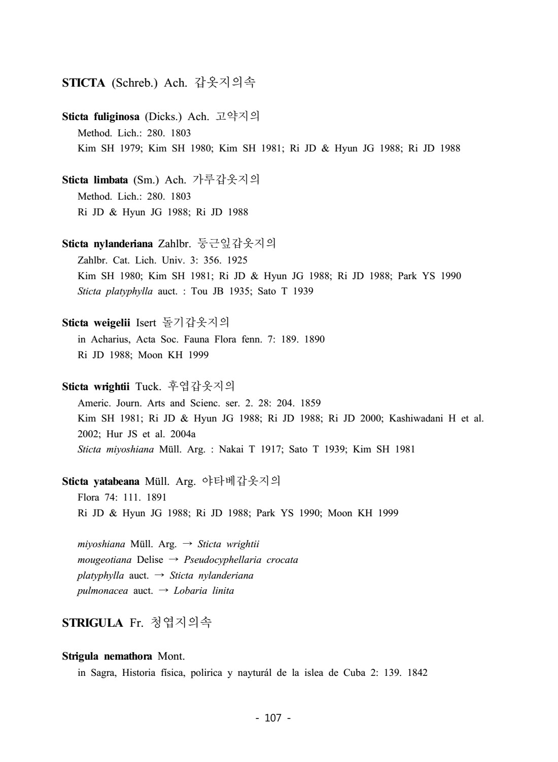 페이지
