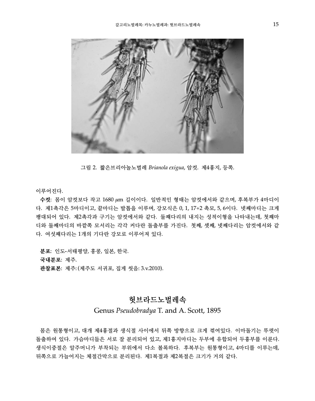 페이지