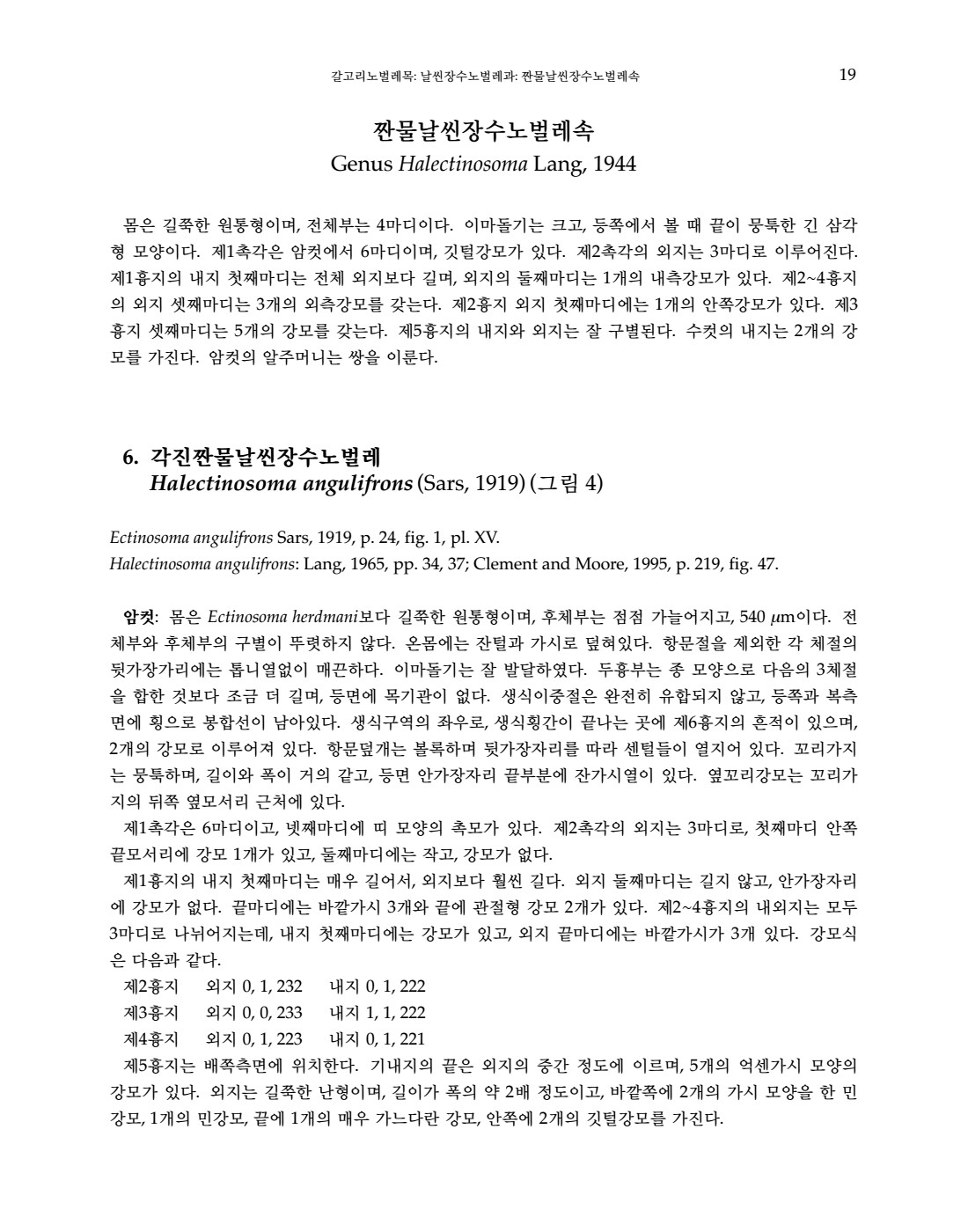 페이지