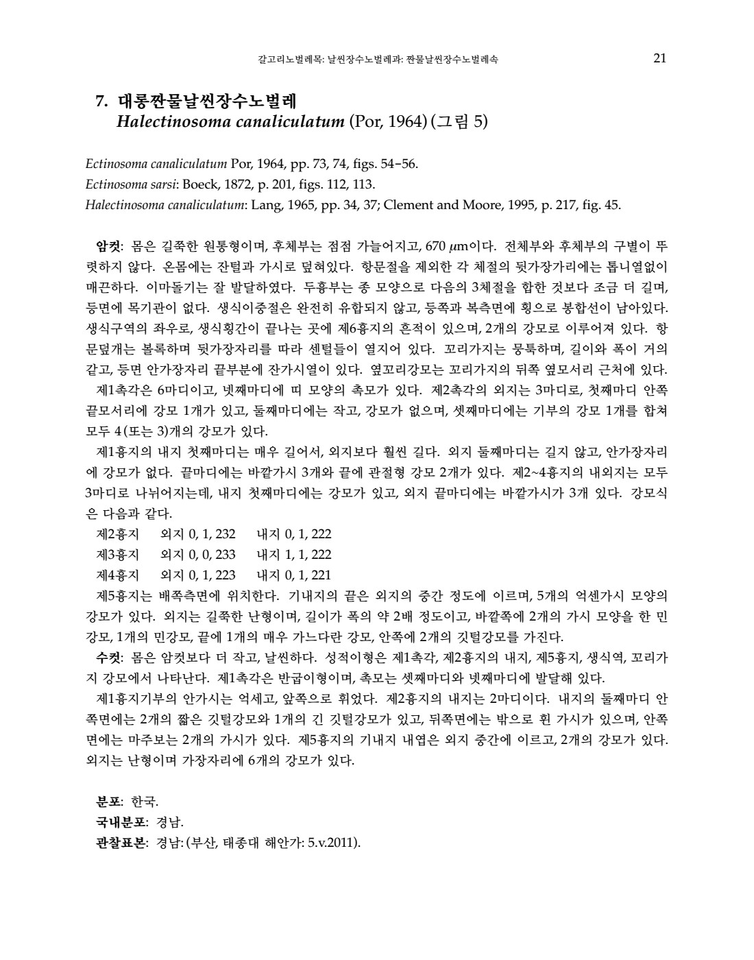 페이지