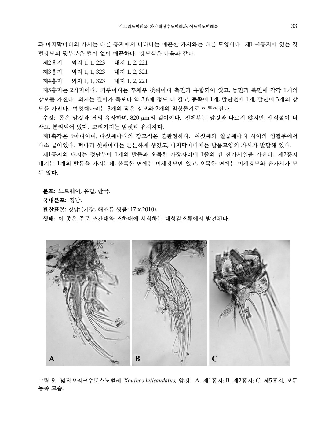 페이지