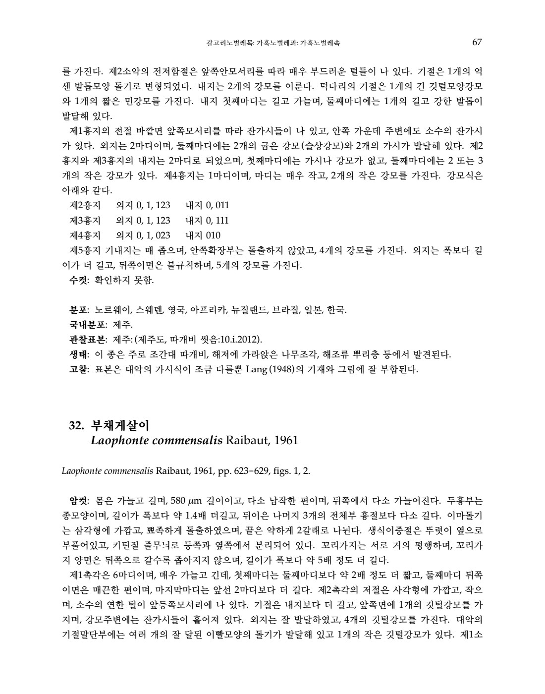 페이지