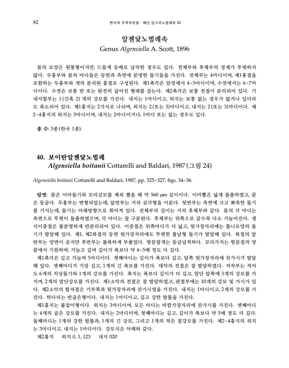 페이지