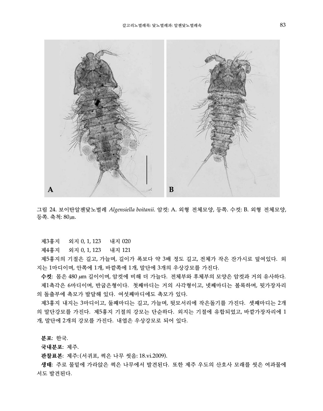페이지