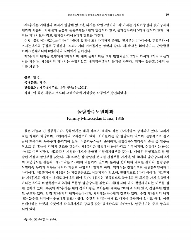 49페이지