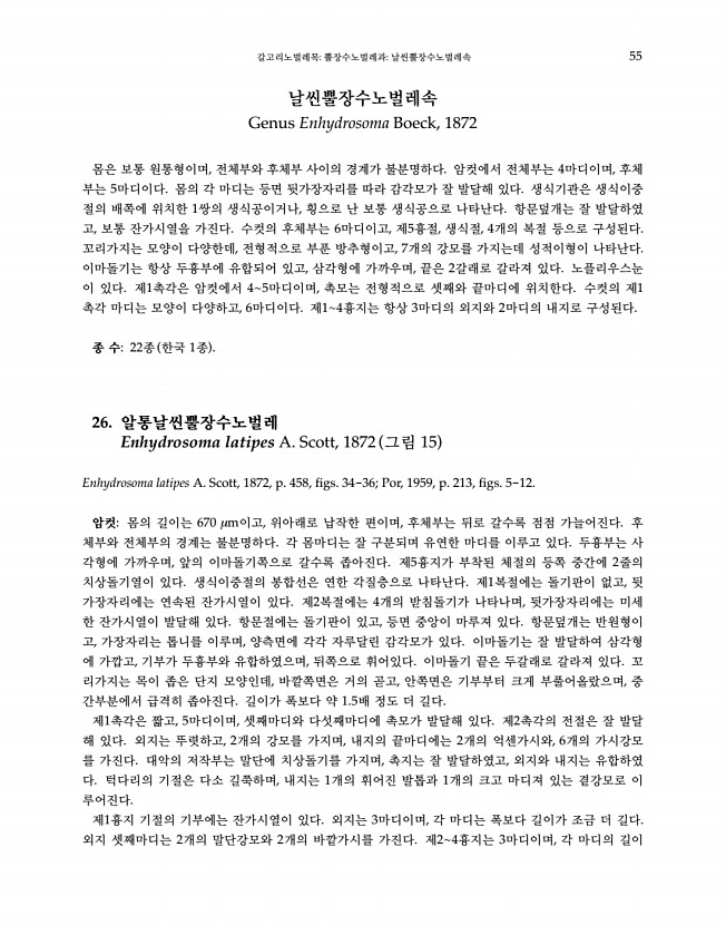 55페이지