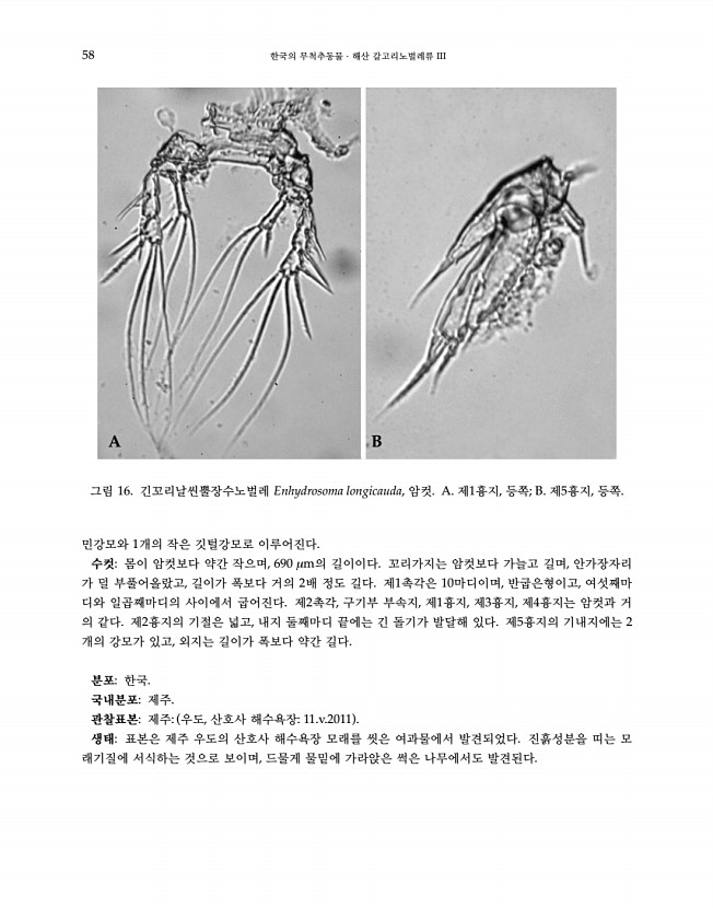 58페이지