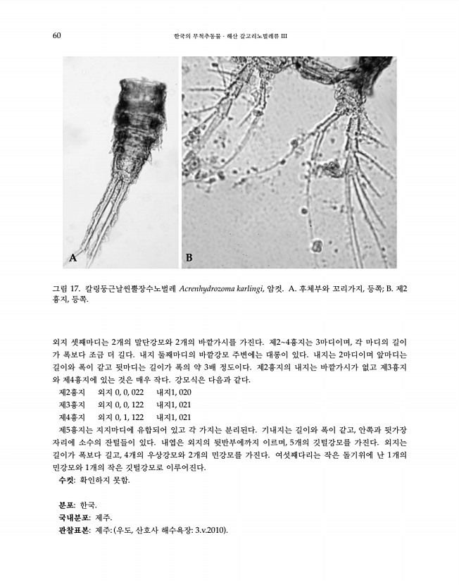 60페이지