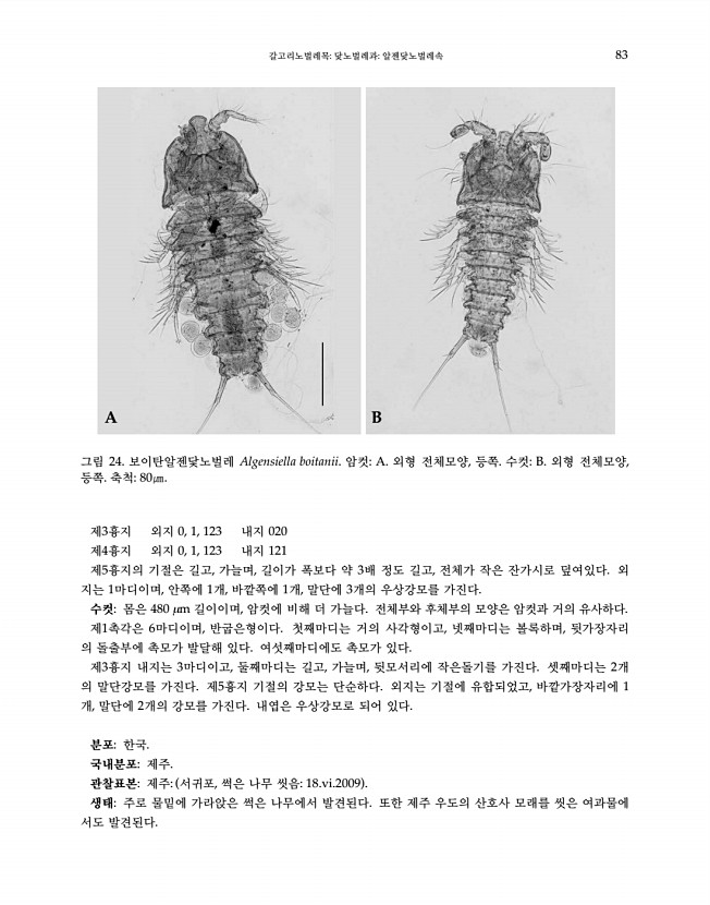 83페이지