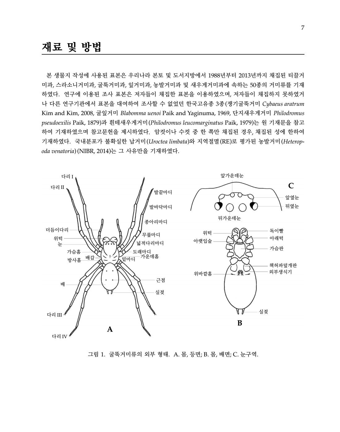 페이지