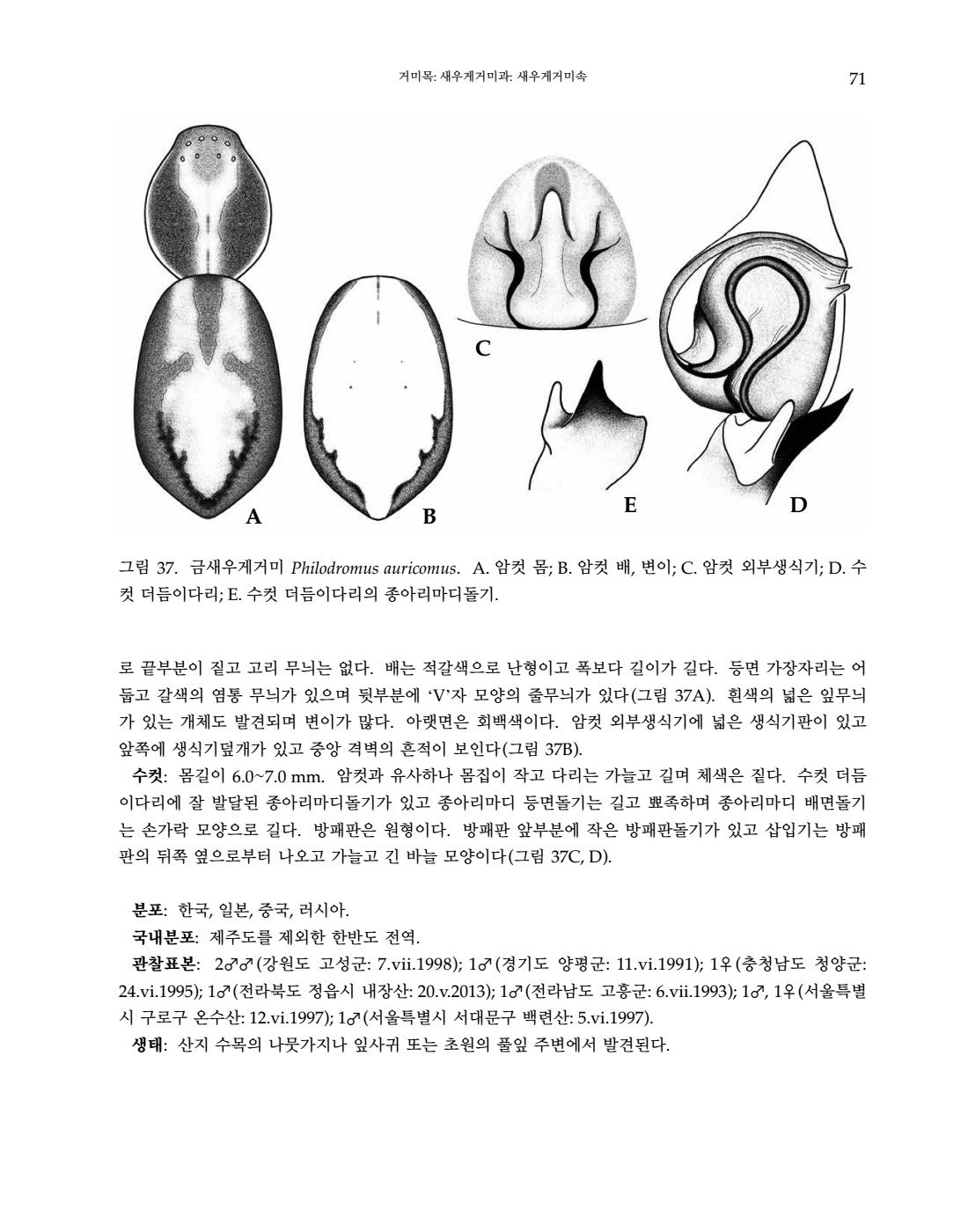 페이지