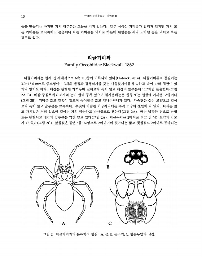 10페이지