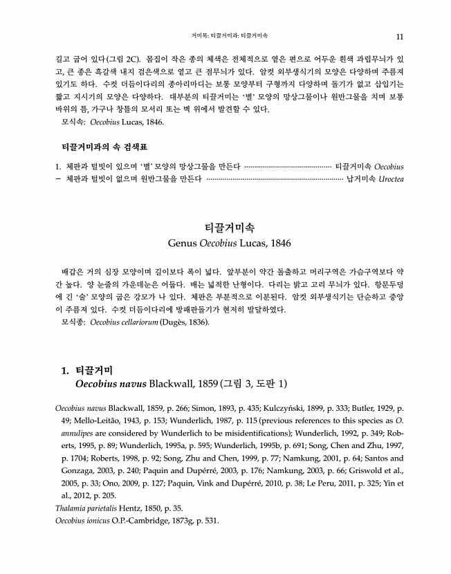 11페이지
