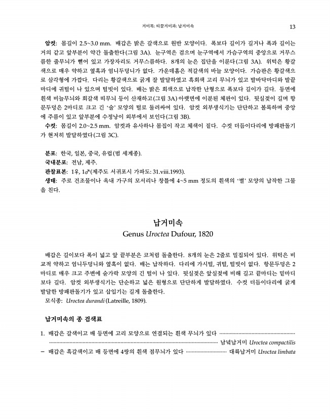 13페이지