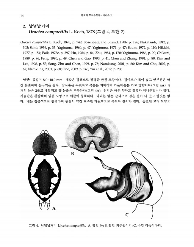 14페이지