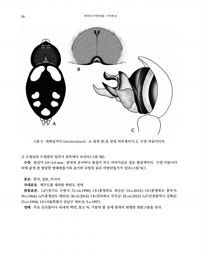 16페이지