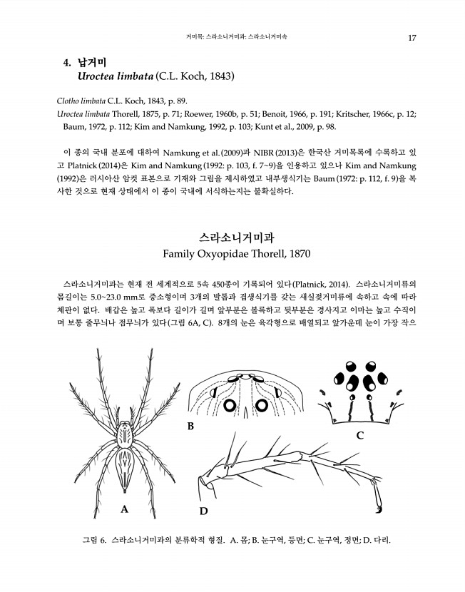 17페이지