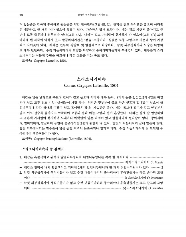 18페이지