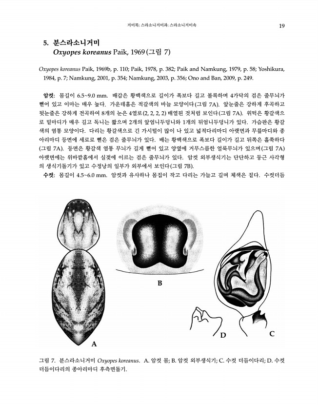 19페이지