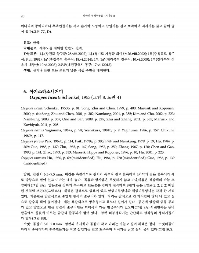 20페이지