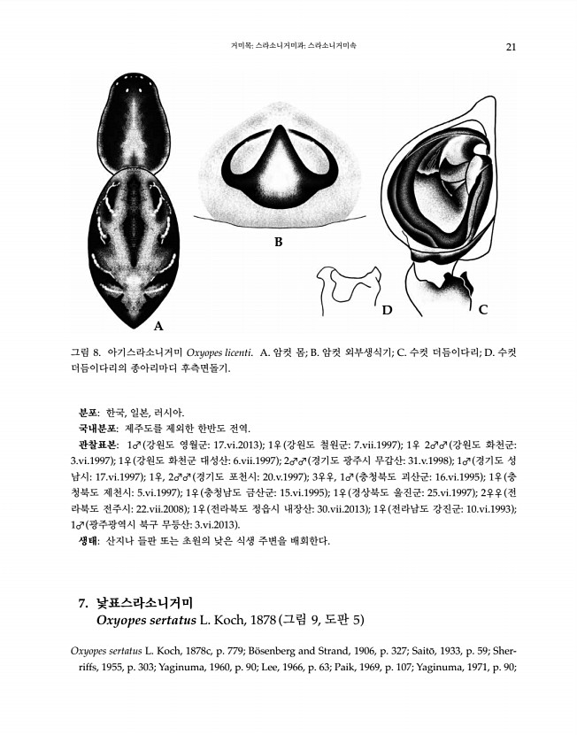 21페이지