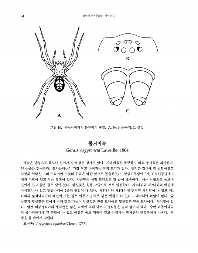 24페이지