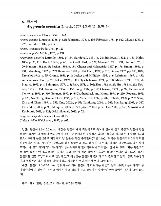 25페이지