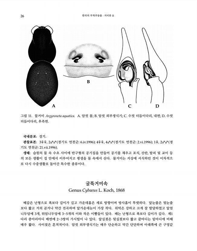 26페이지