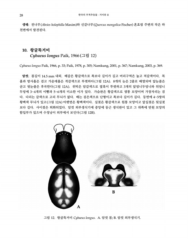 28페이지