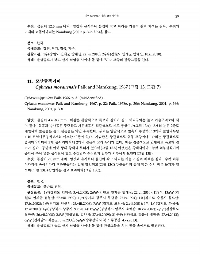 29페이지