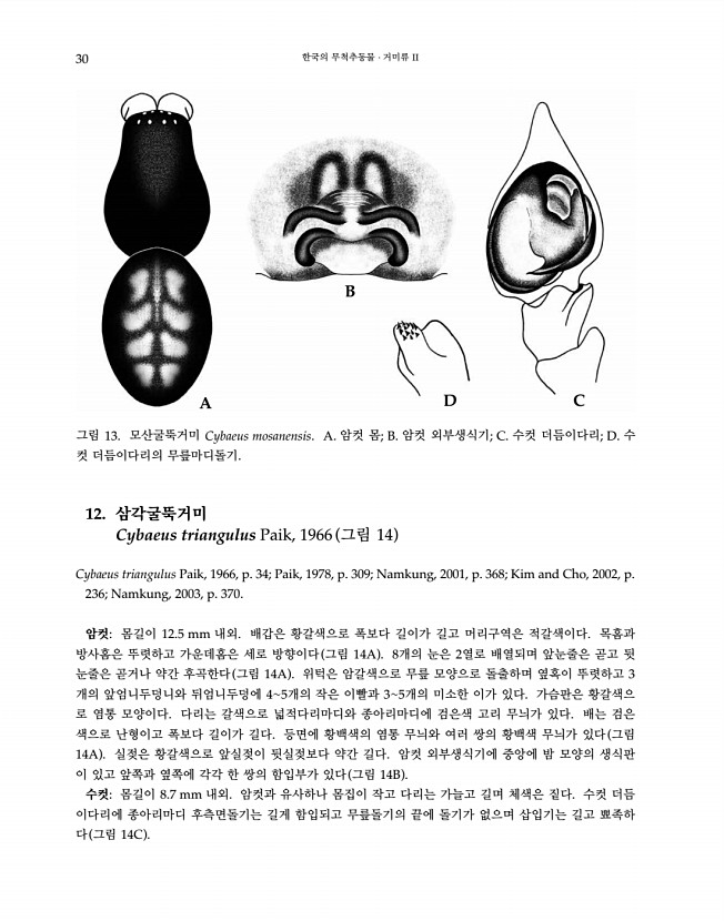 30페이지