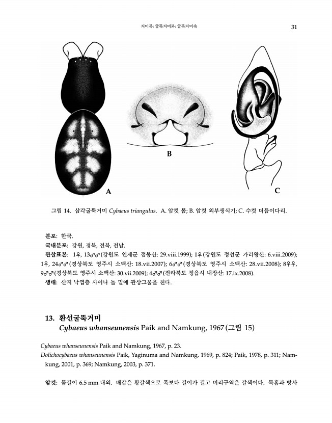 31페이지
