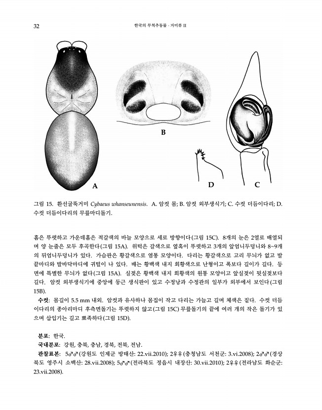 32페이지