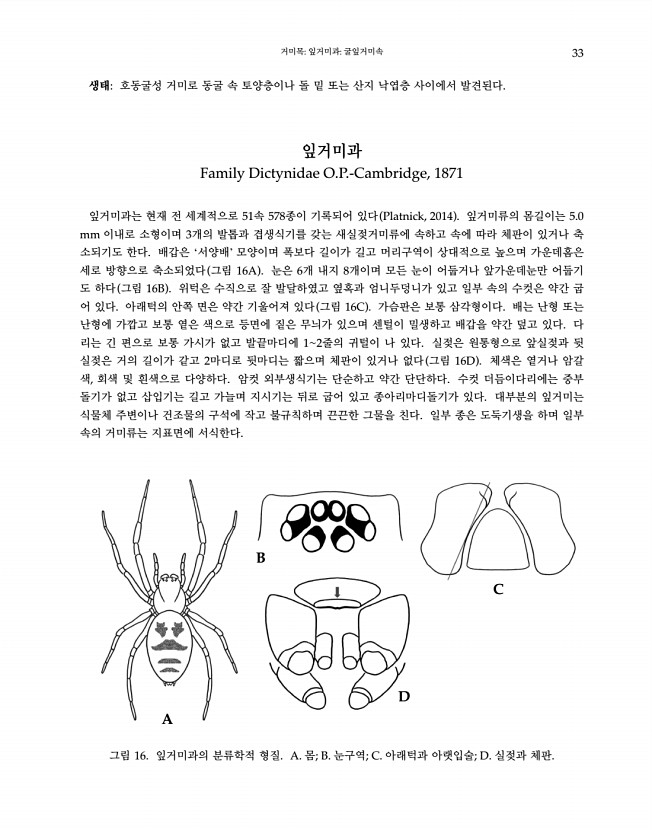 33페이지